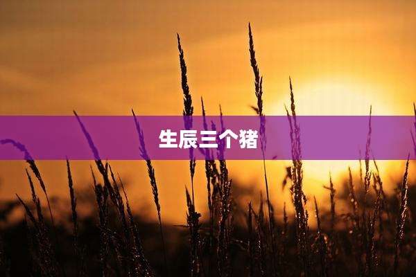 生辰三个猪