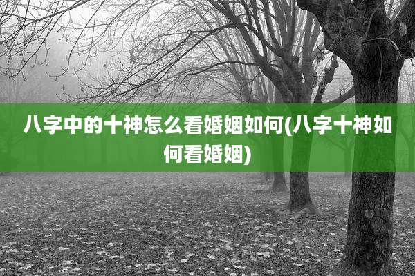 八字中的十神怎么看婚姻如何(八字十神如何看婚姻)