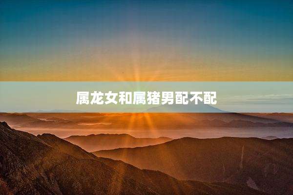 属龙女和属猪男配不配