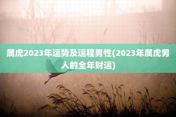 属虎2023年运势及运程男性(2023年属虎男人的全年财运)