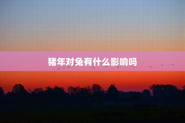 猪年对兔有什么影响吗