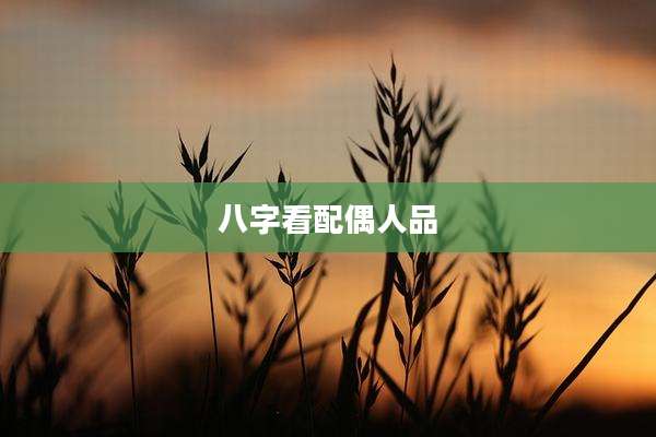 八字看配偶人品