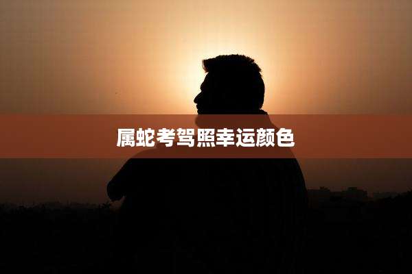 属蛇考驾照幸运颜色
