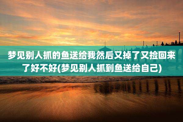 梦见别人抓的鱼送给我然后又掉了又捡回来了好不好(梦见别人抓到鱼送给自己)