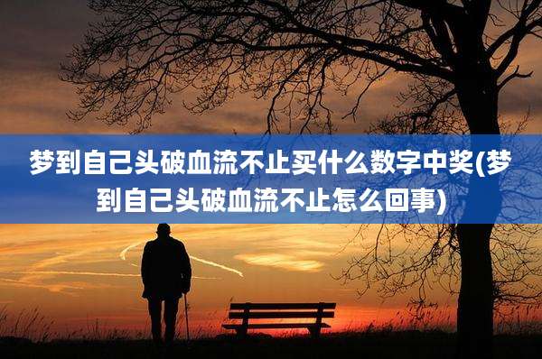 梦到自己头破血流不止买什么数字中奖(梦到自己头破血流不止怎么回事)
