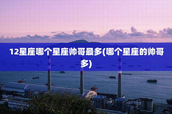 12星座哪个星座帅哥最多(哪个星座的帅哥多)