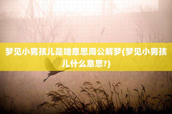 梦见小男孩儿是啥意思周公解梦(梦见小男孩儿什么意思?)