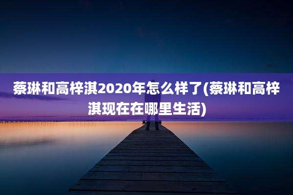 蔡琳和高梓淇2020年怎么样了(蔡琳和高梓淇现在在哪里生活)