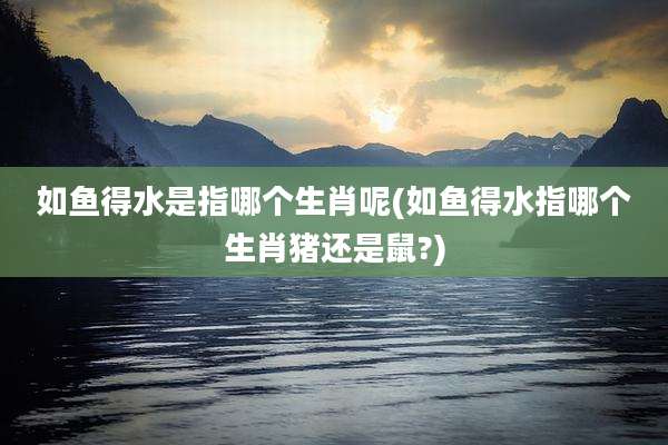 如鱼得水是指哪个生肖呢(如鱼得水指哪个生肖猪还是鼠?)