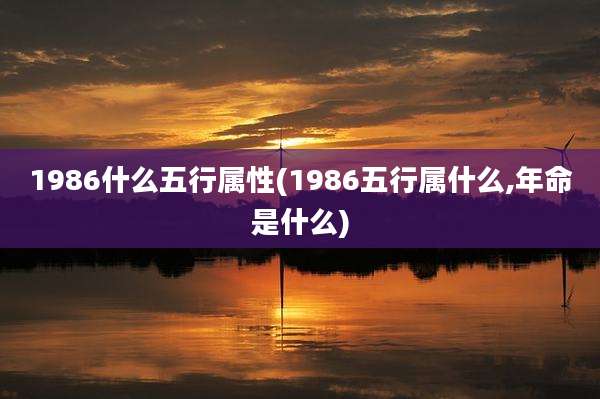 1986什么五行属性(1986五行属什么,年命是什么)