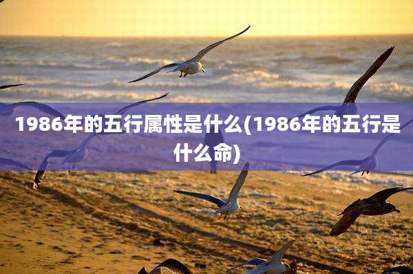 1986年的五行属性是什么(1986年的五行是什么命)