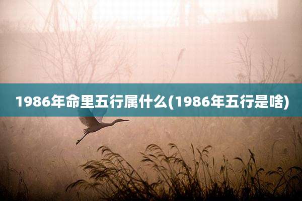 1986年命里五行属什么(1986年五行是啥)