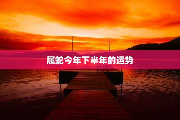 属蛇今年下半年的运势