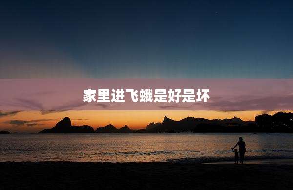 家里进飞蛾是好是坏