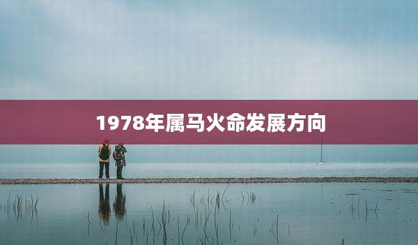 1978年属马火命发展方向