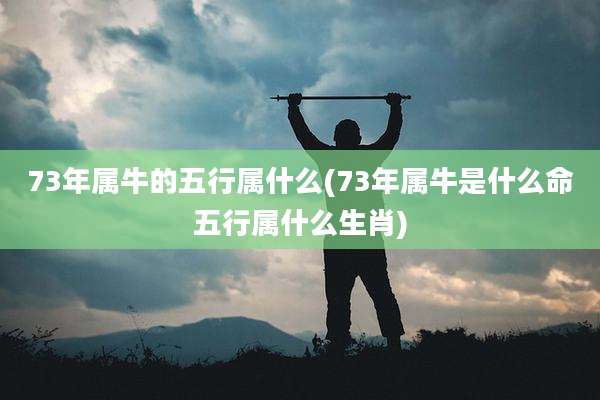 73年属牛的五行属什么(73年属牛是什么命五行属什么生肖)