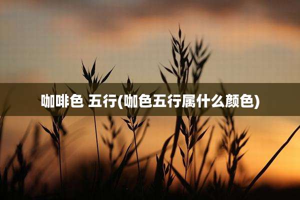 咖啡色 五行(咖色五行属什么颜色)