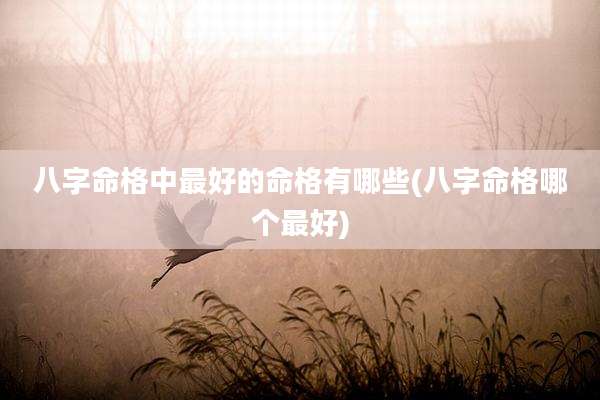 八字命格中最好的命格有哪些(八字命格哪个最好)