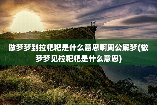 做梦梦到拉粑粑是什么意思啊周公解梦(做梦梦见拉粑粑是什么意思)