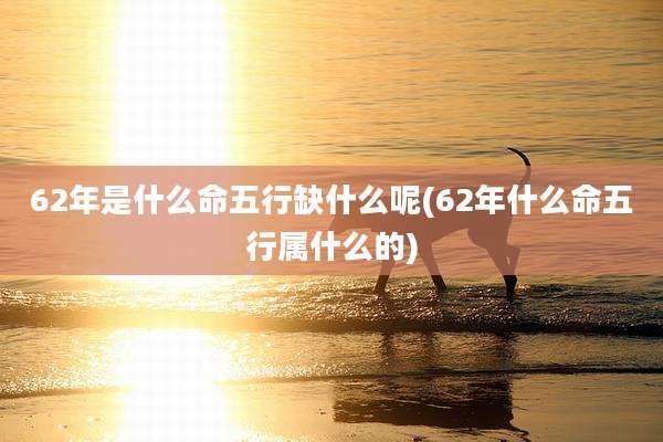 62年是什么命五行缺什么呢(62年什么命五行属什么的)