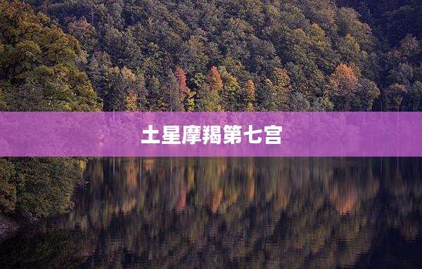 土星摩羯第七宫