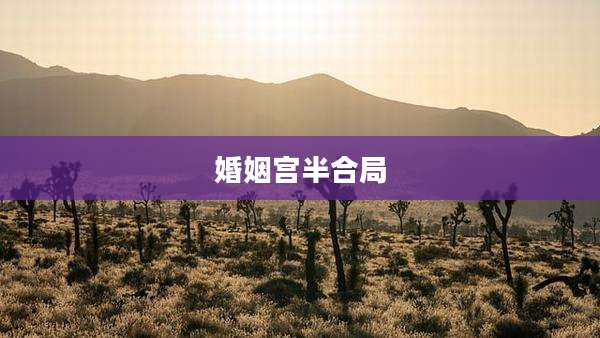 婚姻宫半合局