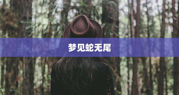 梦见蛇无尾