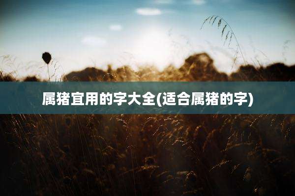 属猪宜用的字大全(适合属猪的字)