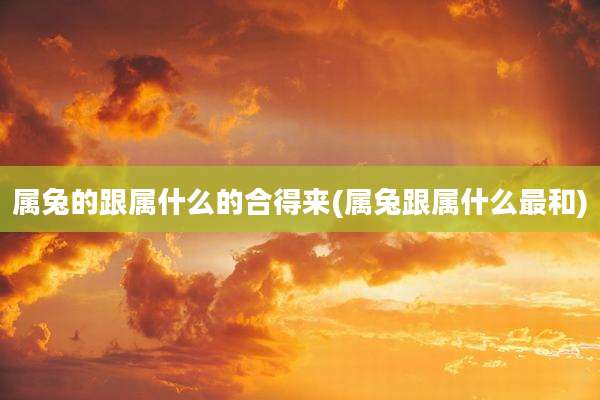 属兔的跟属什么的合得来(属兔跟属什么最和)