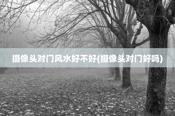 摄像头对门风水好不好(摄像头对门好吗)
