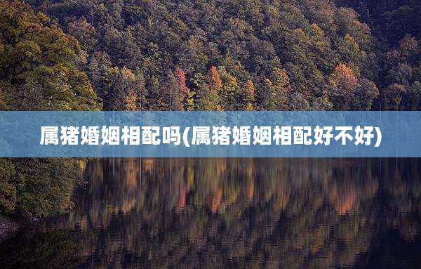 属猪婚姻相配吗(属猪婚姻相配好不好)