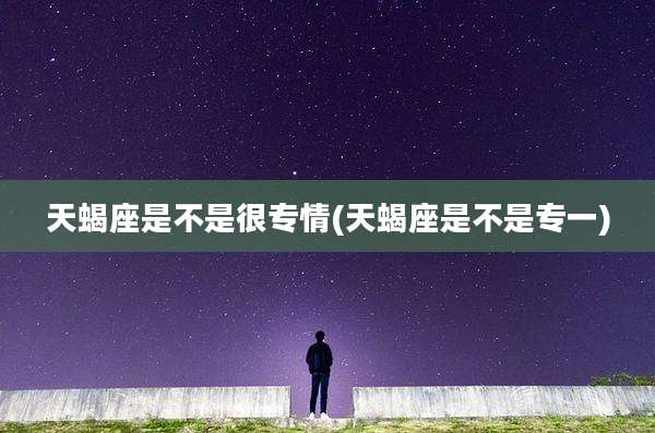 天蝎座是不是很专情(天蝎座是不是专一)