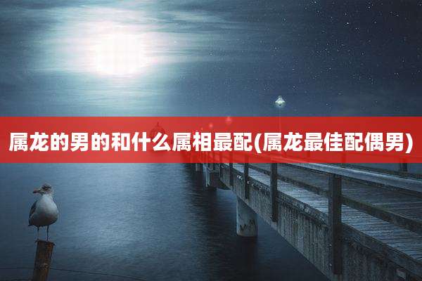属龙的男的和什么属相最配(属龙最佳配偶男)