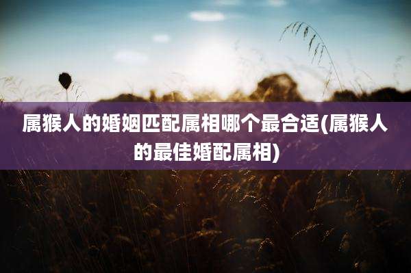 属猴人的婚姻匹配属相哪个最合适(属猴人的最佳婚配属相)