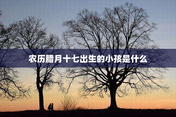 农历腊月十七出生的小孩是什么