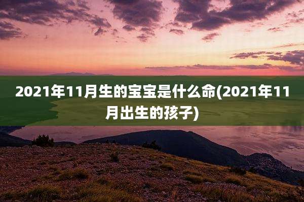 2021年11月生的宝宝是什么命(2021年11月出生的孩子)