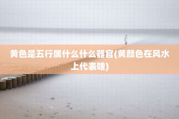 黄色是五行属什么什么器官(黄颜色在风水上代表啥)