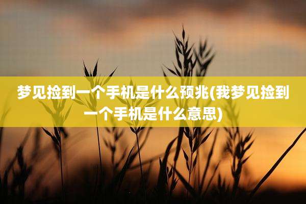 梦见捡到一个手机是什么预兆(我梦见捡到一个手机是什么意思)