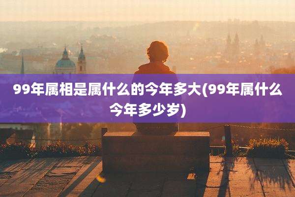 99年属相是属什么的今年多大(99年属什么今年多少岁)