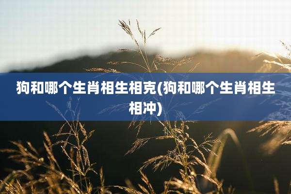 狗和哪个生肖相生相克(狗和哪个生肖相生相冲)