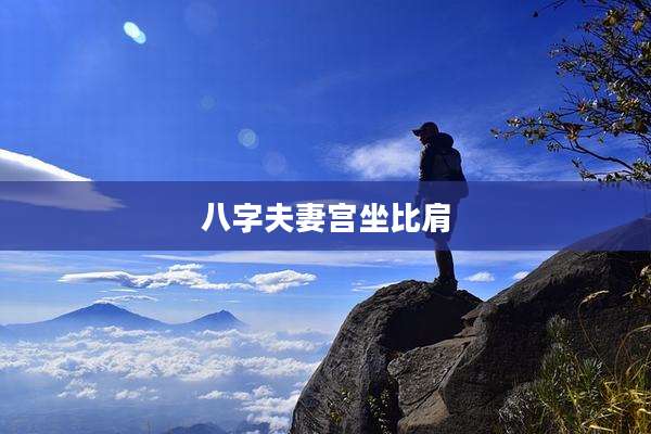 八字夫妻宫坐比肩