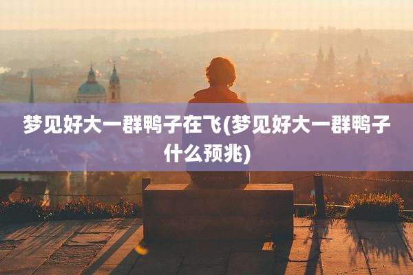 梦见好大一群鸭子在飞(梦见好大一群鸭子什么预兆)