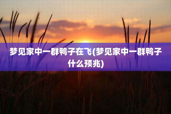 梦见家中一群鸭子在飞(梦见家中一群鸭子什么预兆)