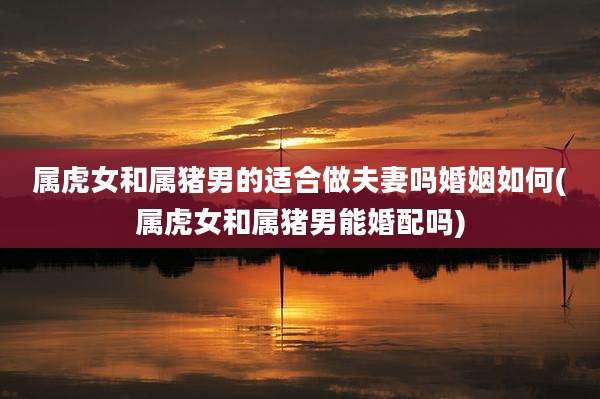 属虎女和属猪男的适合做夫妻吗婚姻如何(属虎女和属猪男能婚配吗)