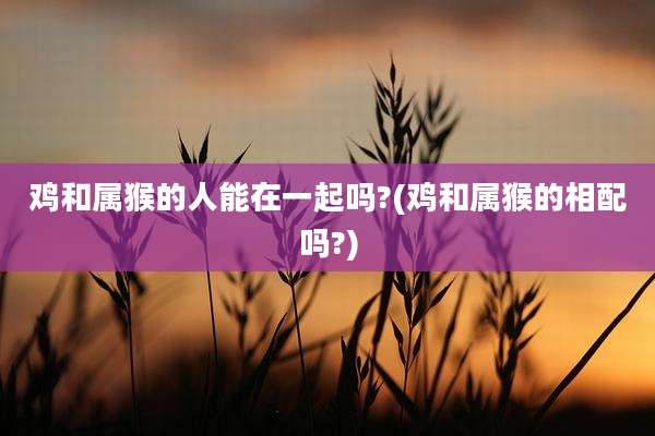 鸡和属猴的人能在一起吗?(鸡和属猴的相配吗?)