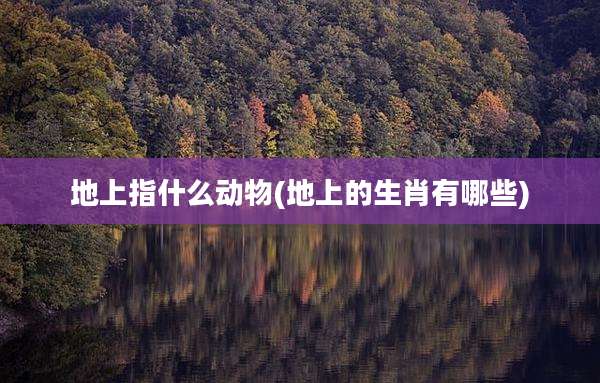 地上指什么动物(地上的生肖有哪些)