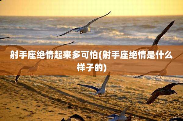 射手座绝情起来多可怕(射手座绝情是什么样子的)
