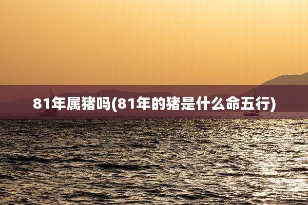 81年属猪吗(81年的猪是什么命五行)