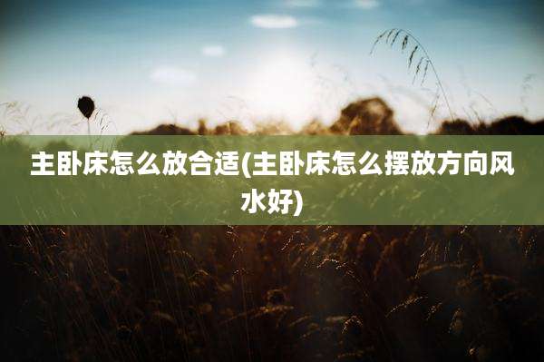 主卧床怎么放合适(主卧床怎么摆放方向风水好)