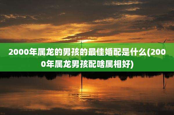 2000年属龙的男孩的最佳婚配是什么(2000年属龙男孩配啥属相好)